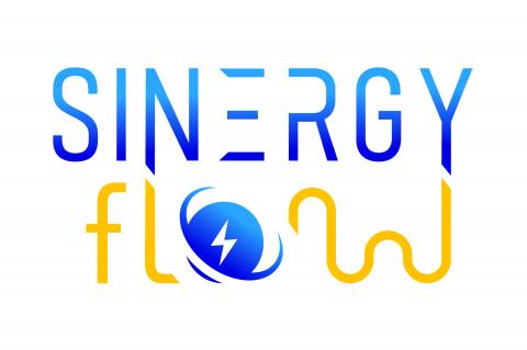 SINERGY FLOW SINERGY FLOW