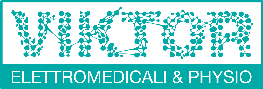 logo Viktor